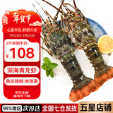 鲟食 生鲜小青龙新鲜冷冻龙虾 国产超大青龙虾年夜饭海鲜大虾春节送礼 【礼盒装】3斤装共4-6只