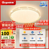 顾家led吸顶灯护眼普瑞光源轻奢仿水晶客厅卧室50cm圆-三色【包安装】