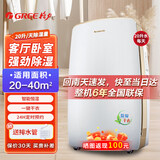 格力（GREE）家用除湿机卧室客厅轻音低噪室内节能定时恒湿抽湿机房间办公室祛湿机地下室强劲干衣净化除湿器 20L/天 20-40㎡ DH20EH