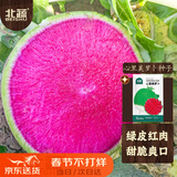 北蔬 心里美红心萝卜种子苗冬春水果罗卜蔬菜籽 心里美萝卜种子500粒