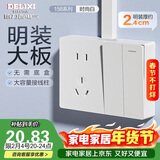 德力西（DELIXI）明装开关插座面板 CD158系列 二位双控开关带10A五孔插座