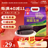 十月稻田 黑糯玉米 3.52斤(220g*8根) 东北玉米 杂粮粗粮 低脂早餐