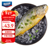 海名威 宁德黄花鱼600g/条 大黄鱼 年货节 生鲜鱼类 海鲜水产 地标产品 