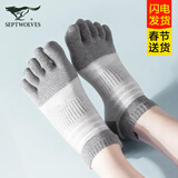 七匹狼纯棉抗菌五指袜男夏季网眼透气防臭吸汗全棉五趾袜男士分趾袜短袜 【运动五趾】盒装 5双 均码 (适39-44码/棉/网眼/分趾)