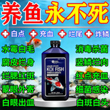草之萃锦鲤亚甲基蓝鱼病鱼缸杀菌消毒烂身烂尾药水霉病水族鱼万专用能液 一瓶装（鱼缸护理液）