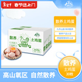 九華粮品散养土鸡蛋30枚 净重2.88斤 草鸡蛋 柴鸡蛋 笨鸡蛋