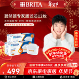 碧然德（BRITA）家用净水壶 滤水壶滤芯 MAXTRA+LE 专家滤芯 12枚装（本品加附件6个共计12个非18枚）