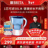 碧然德（BRITA）过滤净水器 家用滤水壶 净水壶 海洋系列 3.5L（蓝）+专家版滤芯5枚 环保加固包装