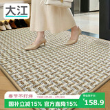 大江 门口地垫入户门脚垫进门门垫玄关垫轻奢高级地毯入户门80x140cm