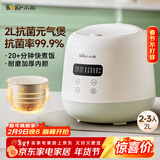 小熊（Bear）电饭煲2~3人 家用迷你小容量电饭锅 2L智能快煮饭多功能智能预约煮粥锅微压煮饭锅 DFB-Q20B2