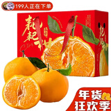 四川春见耙耙柑 新鲜丑橘子粑粑柑当季孕妇水果爆浆整箱年货送礼 颗颗甄选-5斤【商超品质丨无礼盒】