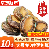 弹指鲜生新鲜熟冻大鲍鱼三去免处理鲜活冷冻贝类去内脏年货节送礼 鲜捕熟冻大号10头鲍鱼净重500g