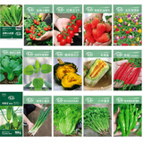 寿禾蔬菜种子大全四季可种春季套餐南北方菜种籽 15种蔬菜种子大全