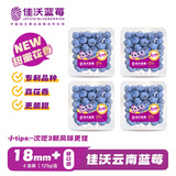 佳沃（JOYVIO）甜蜜花香云南蓝莓 18mm+4盒装约125g/盒 年货水果 源头直发