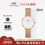 丹尼尔惠灵顿（DanielWellington）DW女士手表轻奢流金简约石英欧美腕表送女友新年礼物DW219
