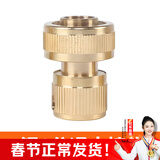 漫德莱6分水管水枪纯铜通水接头 奶嘴型浇花洗车水枪洒水器配件快接头