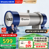 惠尔顿（WHEELTON） 全屋中央净水器系统家用厨下净水器前置过滤器自来水农村井水大流量管道超滤机别墅小区房车商用 UF2厨房/房车够用4000L
