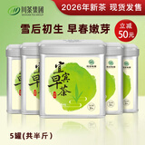 龙芽大师宜宾早茶2026年新茶雀舌绿茶茶叶特级早春芽茶头春茶川茶集团50g 宜宾早茶 50g*5罐 （共半斤）