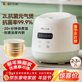 小熊（Bear）电饭煲2~3人 家用迷你小容量电饭锅 2L智能快煮饭多功能智能预约煮粥锅微压煮饭锅 DFB-Q20B2