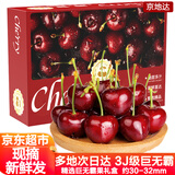 京地达山东美早大樱桃3J级巨无霸净重1.8斤 单果12-15g 水果源头直发