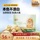 三只松鼠开心果500g/袋装 坚果炒货无漂白干果休闲零食品送礼