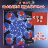 【正版包邮】 美丽的化学结构 梁琰 著 清华大学出版社 新华书店旗舰店化学图书书籍