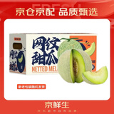 京鲜生 网纹蜜瓜 2粒装 净重4-5斤 单果2斤起 生鲜水果年货礼盒