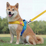 磊嘉狗绳狗链 柯基牵引绳防爆冲胸背带牵引绳中大型小型犬遛狗绳柴犬 黄蓝胸背带1个配狗绳1根 M（建议10-22斤）
