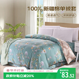 艾薇 A类被套单件被罩纯棉温馨居家全棉双人被套200x230cm  清馨花园