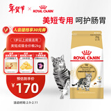 皇家猫粮 美短成猫粮 ASA31 通用粮 12月以上 2KG