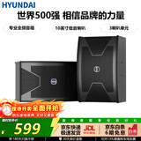 HYUNDAI现代音响 音箱 家庭影院 KTV音响 家用组合 专业K歌 会议 舞台设备 【HY110A】10英寸二分频音响
