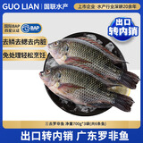GUO LIAN国联水产 三去罗非鱼6条/4.2斤净重 非洲鲫红烧鱼源头直发年货节