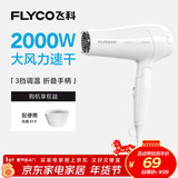 飞科（FLYCO）电吹风机家用发廊大功率2000W速干恒温便携可折叠白色FH6232