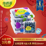 怡颗莓Driscoll's云南蓝莓Jumbo大果18mm+4盒装约125g/盒 新鲜年货水果