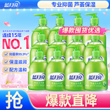 蓝月亮洗手液抑菌99.9%300g*12瓶整箱 芦荟泡沫丰富儿童办公室商用7.2斤