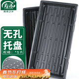 寿禾 育苗托盘多肉花盆秧苗塑料整理筐 无孔育苗托盘5片
