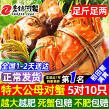 【活蟹】网兜蟹辽宁盘锦河蟹稻田河蟹礼盒螃蟹鲜活大闸蟹无绳净重 公母对蟹丨2.5-2.8两【5对】10只