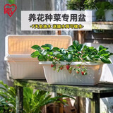 爱丽思（IRIS）长方形树脂花盆长条型专用蔬菜绿植草莓种植种菜盆阳台果蔬种植盆 【长37cm】约6L 浅米色 1个装