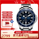 海鸥手表机械表海洋Pro系列300M防水国表潜水腕表1210 816.32.1210（表盘直径44mm）