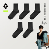 有棵树【肌理按摩】男士袜子男纯棉10A抗菌消臭中筒秋冬抗起球休闲长袜