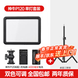 神牛（Godox） p120c摄影灯led补光灯便携单反相机摄像打光灯影视拍照婚庆常亮灯光 P120C+桌面三角架【送4000毫安电池】