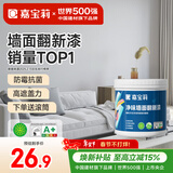 嘉宝莉（CARPOLY）补墙漆修补墙面翻新漆内墙去污遮盖净味内墙乳胶漆岩灰1kg