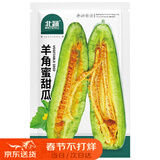 北蔬 羊角蜜甜瓜种子苗羊角酥脆超甜香瓜种籽 羊角蜜甜瓜种子约500粒