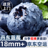 京地达蓝莓丹东新鲜花香蓝莓水果年货单果18mm+净含量120g*4盒源头直发
