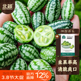 北蔬 拇指西瓜种子种苗水果迷你小西瓜种籽 拇指西瓜种子约50粒