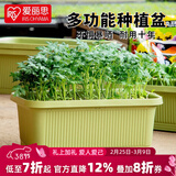 爱丽思（IRIS）种菜盆蔬菜种植箱塑料菜盆特大号阳台种菜神器户外花箱种花菜盆 【1个】大(60cm长)绿色 送隔网