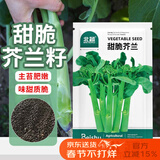 北蔬 甜脆芥兰种子种苗大芯芥蓝四季蔬菜种籽 甜脆芥兰种子5g约1000粒