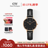 丹尼尔惠灵顿（DanielWellington）DW女士手表小众轻奢流金皮质石英腕表送女友情人节礼物DW224