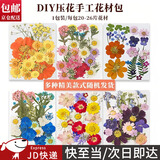 东之天地 干花压花树叶植物标本DIY流苏书签幼儿园亲子手工贴画滴胶树叶画 DIY干花压花【款式随机一包】