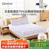 Downia床褥 五星级酒店同款75%白鹅绒羽绒床褥垫子 厚榻榻米垫子1.8米床